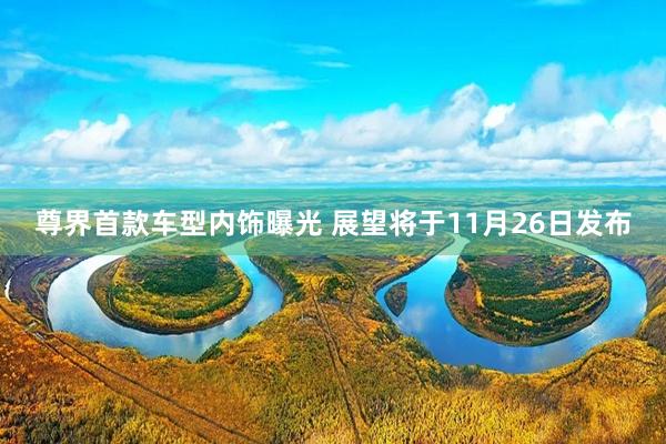 尊界首款车型内饰曝光 展望将于11月26日发布