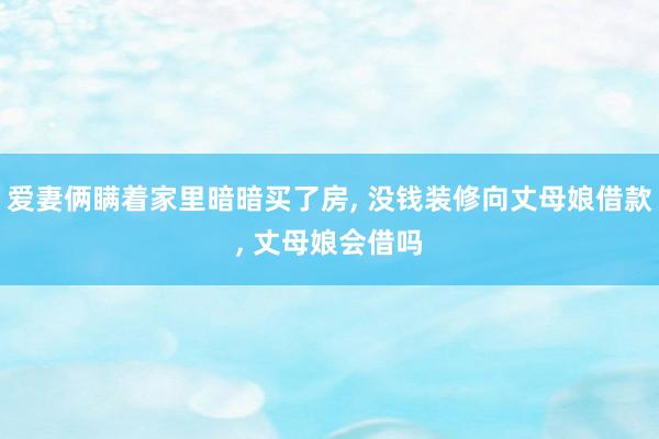 爱妻俩瞒着家里暗暗买了房, 没钱装修向丈母娘借款, 丈母娘会借吗