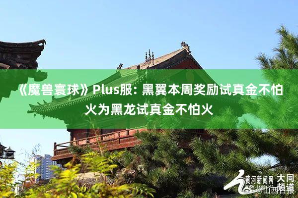 《魔兽寰球》Plus服: 黑翼本周奖励试真金不怕火为黑龙试真金不怕火