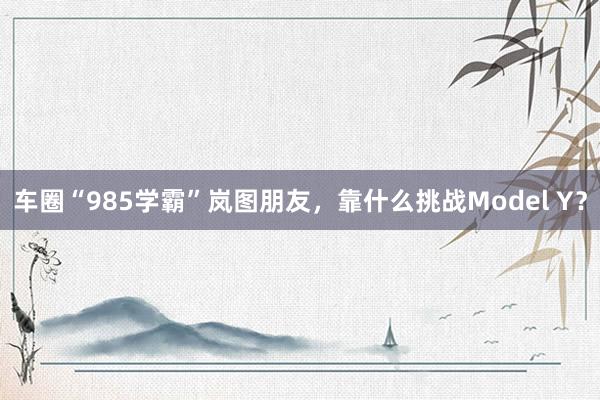 车圈“985学霸”岚图朋友，靠什么挑战Model Y？