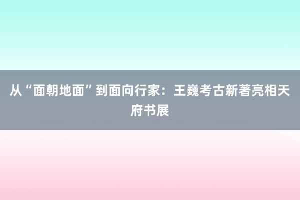 从“面朝地面”到面向行家：王巍考古新著亮相天府书展