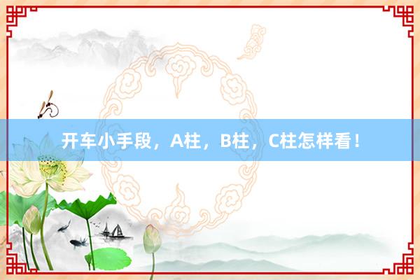 开车小手段，A柱，B柱，C柱怎样看！