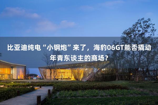 比亚迪纯电“小钢炮”来了，海豹06GT能否撬动年青东谈主的商场？