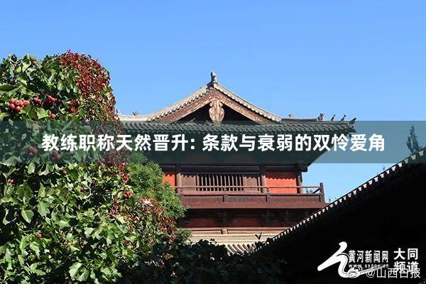 教练职称天然晋升: 条款与衰弱的双怜爱角